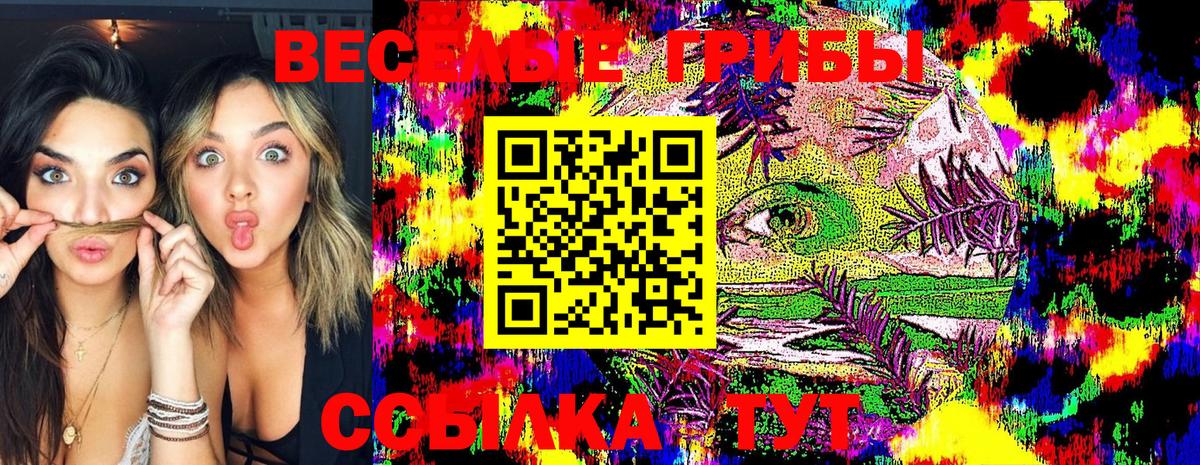 Краснокамск  Псилоцибиновые грибы Psilocybe  Вход с VPN 